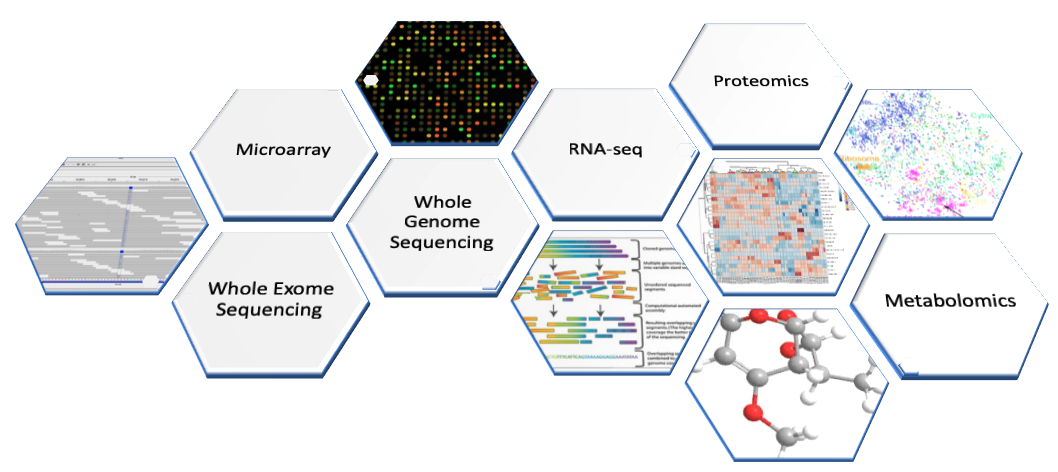 Lab Members  Computational Functional Genomics Laboratory